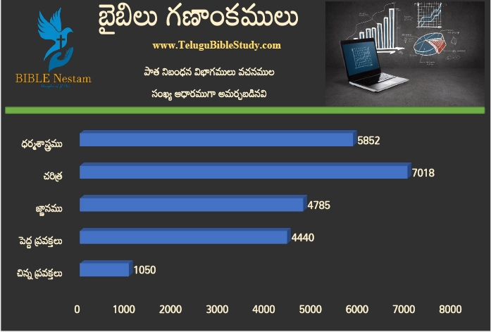 Old Testament Divisions